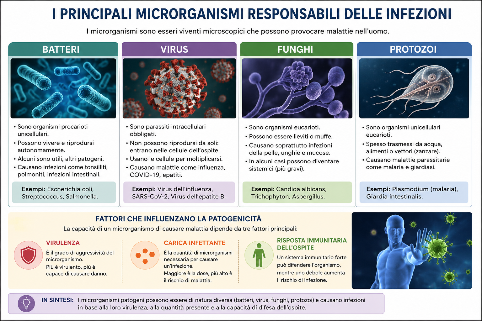 I principali microrganismi responsabili delle infezioni